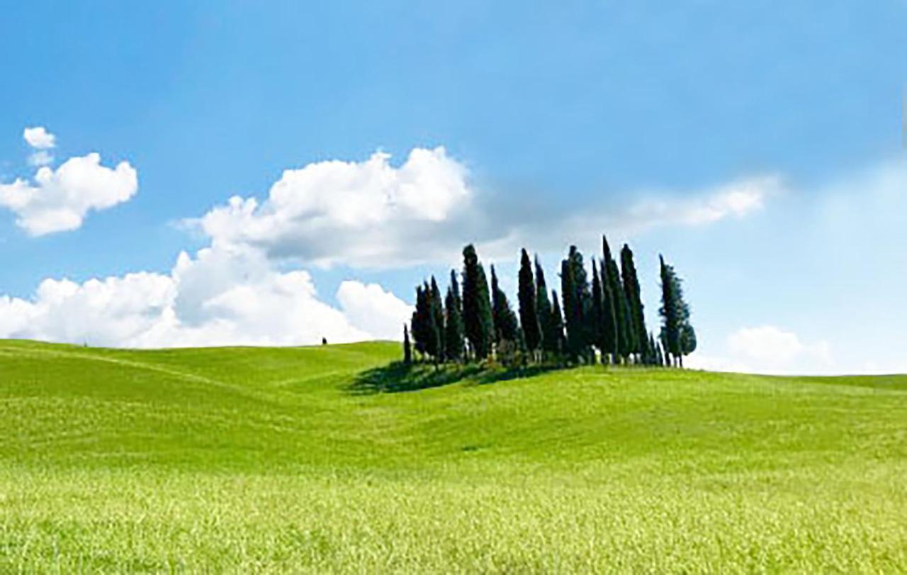 La Casa Nel Poggio 247 Vicino A Siena Lägenhet Ponte a Tressa Exteriör bild