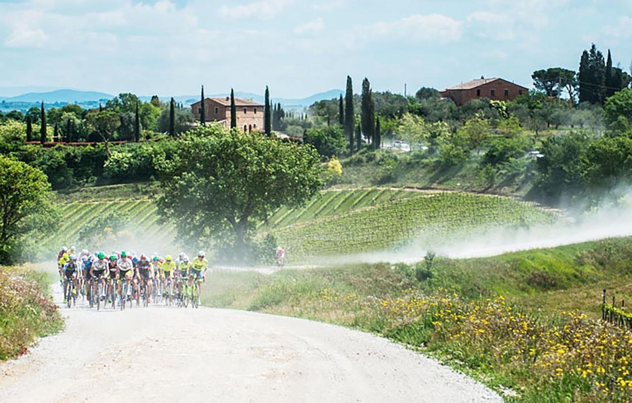La Casa Nel Poggio 247 Vicino A Siena Lägenhet Ponte a Tressa Exteriör bild
