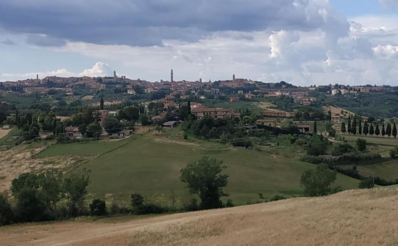 La Casa Nel Poggio 247 Vicino A Siena Lägenhet Ponte a Tressa Exteriör bild